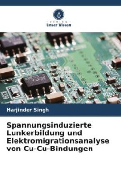 Spannungsinduzierte Lunkerbildung und Elektromigrationsanalyse von Cu-Cu-Bindungen