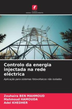 Controlo da energia injectada na rede eléctrica