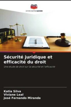 Sécurité juridique et efficacité du droit