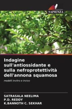 Indagine sull'antiossidante e sulla nefroprotettività dell'annona squamosa