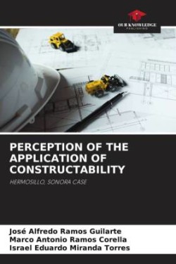 Perception of the Application of Constructability