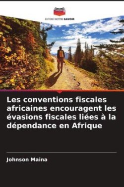 Les conventions fiscales africaines encouragent les évasions fiscales liées à la dépendance en Afrique