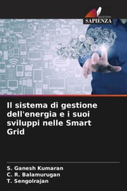 sistema di gestione dell'energia e i suoi sviluppi nelle Smart Grid