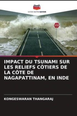 Impact Du Tsunami Sur Les Reliefs Côtiers de la Côte de Nagapattinam, En Inde