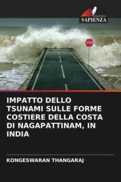 Impatto Dello Tsunami Sulle Forme Costiere Della Costa Di Nagapattinam, in India