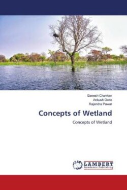 Concepts of Wetland