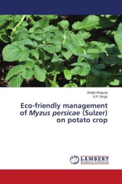 Eco-friendly management of Myzus persicae (Sulzer) on potato crop