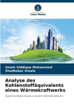 Analyse des Kohlenstoffäquivalents eines Wärmekraftwerks