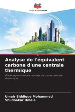 Analyse de l'équivalent carbone d'une centrale thermique