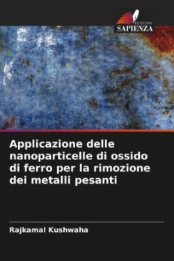 Applicazione delle nanoparticelle di ossido di ferro per la rimozione dei metalli pesanti