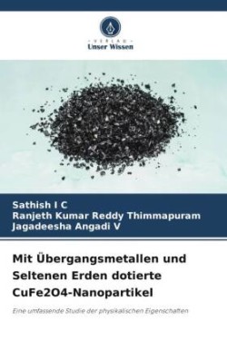 Mit Übergangsmetallen und Seltenen Erden dotierte CuFe2O4-Nanopartikel