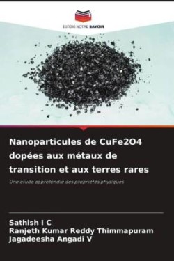 Nanoparticules de CuFe2O4 dopées aux métaux de transition et aux terres rares