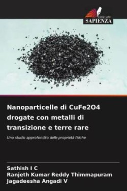 Nanoparticelle di CuFe2O4 drogate con metalli di transizione e terre rare