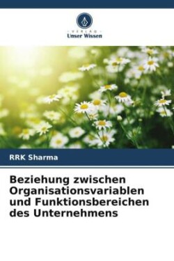 Beziehung zwischen Organisationsvariablen und Funktionsbereichen des Unternehmens