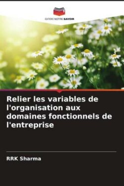 Relier les variables de l'organisation aux domaines fonctionnels de l'entreprise