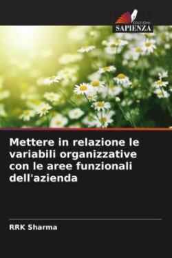 Mettere in relazione le variabili organizzative con le aree funzionali dell'azienda