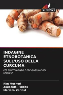 Indagine Etnobotanica Sull'uso Della Curcuma