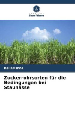 Zuckerrohrsorten für die Bedingungen bei Staunässe