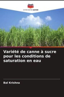 Variété de canne à sucre pour les conditions de saturation en eau