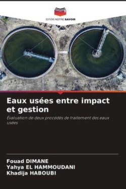 Eaux usées entre impact et gestion