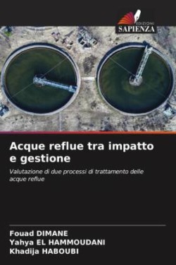 Acque reflue tra impatto e gestione