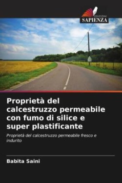 Proprietà del calcestruzzo permeabile con fumo di silice e super plastificante