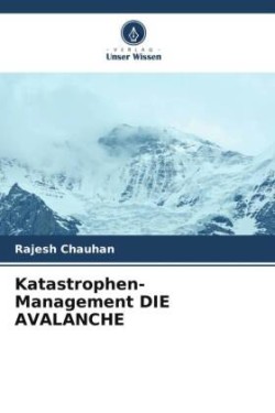 Katastrophen-Management DIE AVALANCHE