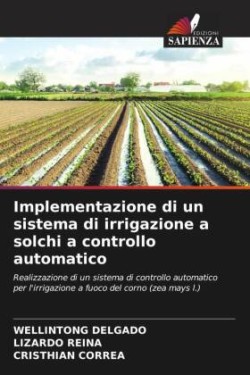 Implementazione di un sistema di irrigazione a solchi a controllo automatico
