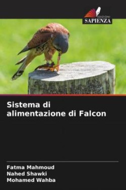 Sistema di alimentazione di Falcon