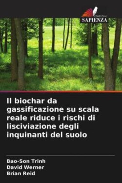 biochar da gassificazione su scala reale riduce i rischi di lisciviazione degli inquinanti del suolo