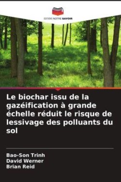 biochar issu de la gazéification à grande échelle réduit le risque de lessivage des polluants du sol