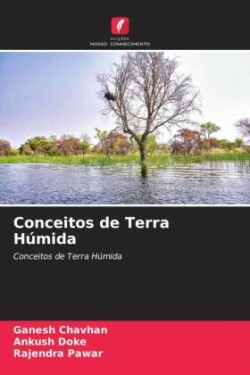 Conceitos de Terra Húmida