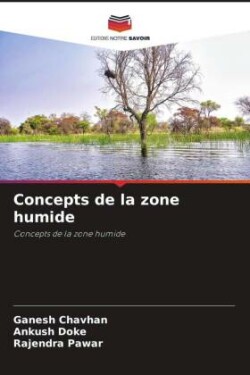 Concepts de la zone humide