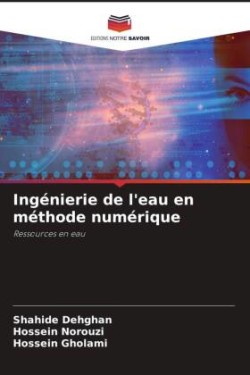 Ingénierie de l'eau en méthode numérique