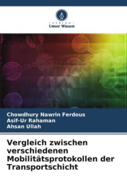 Vergleich zwischen verschiedenen Mobilitätsprotokollen der Transportschicht