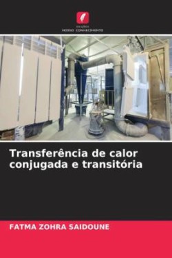 Transferência de calor conjugada e transitória