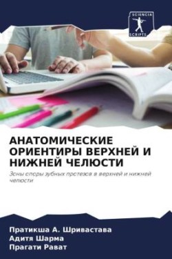 АНАТОМИЧЕСКИЕ ОРИЕНТИРЫ ВЕРХНЕЙ И НИЖНЕЙ