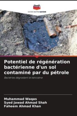 Potentiel de régénération bactérienne d'un sol contaminé par du pétrole