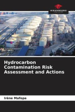 Hydrocarbon Contamination Risk Assessment and Actions