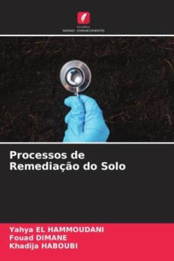 Processos de Remediação do Solo