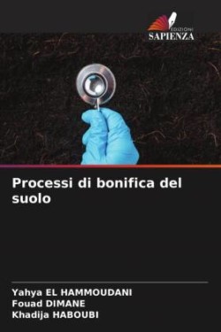 Processi di bonifica del suolo