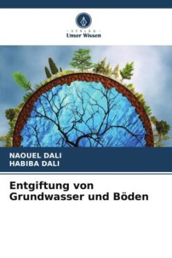 Entgiftung von Grundwasser und Böden