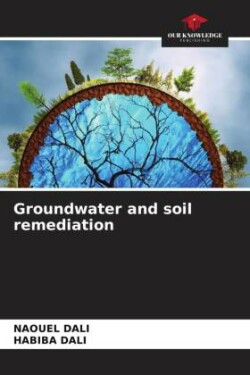 Groundwater and soil remediation