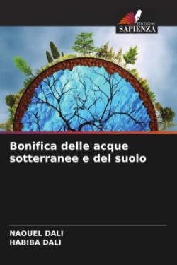 Bonifica delle acque sotterranee e del suolo