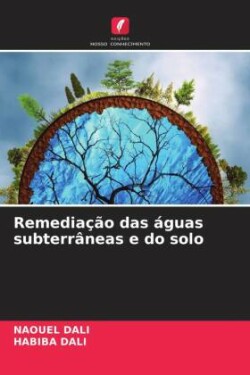 Remediação das águas subterrâneas e do solo