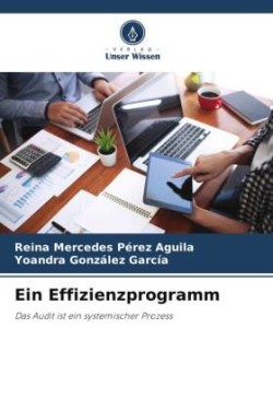 Ein Effizienzprogramm