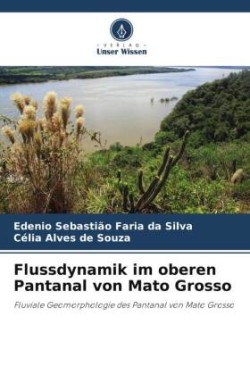 Flussdynamik im oberen Pantanal von Mato Grosso