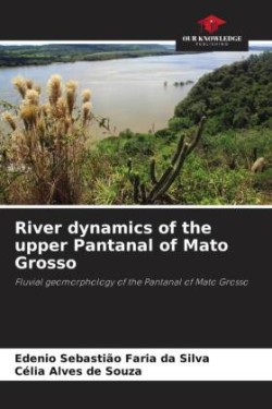 River dynamics of the upper Pantanal of Mato Grosso