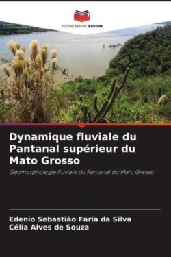 Dynamique fluviale du Pantanal supérieur du Mato Grosso