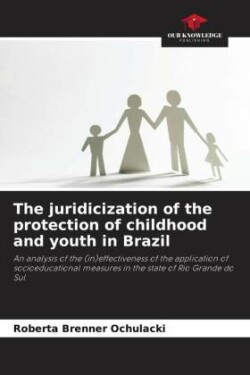 juridicization of the protection of childhood and youth in Brazil